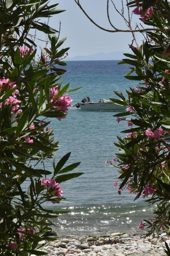 Seaside Home In Kardiani/Giannaki Bay - Agnes'S Home المظهر الخارجي الصورة